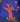 Tumukia (Rooted)